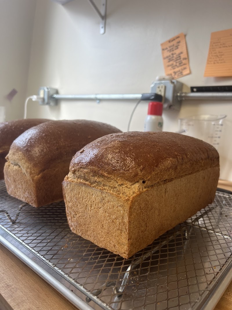 House of the Rising Bun