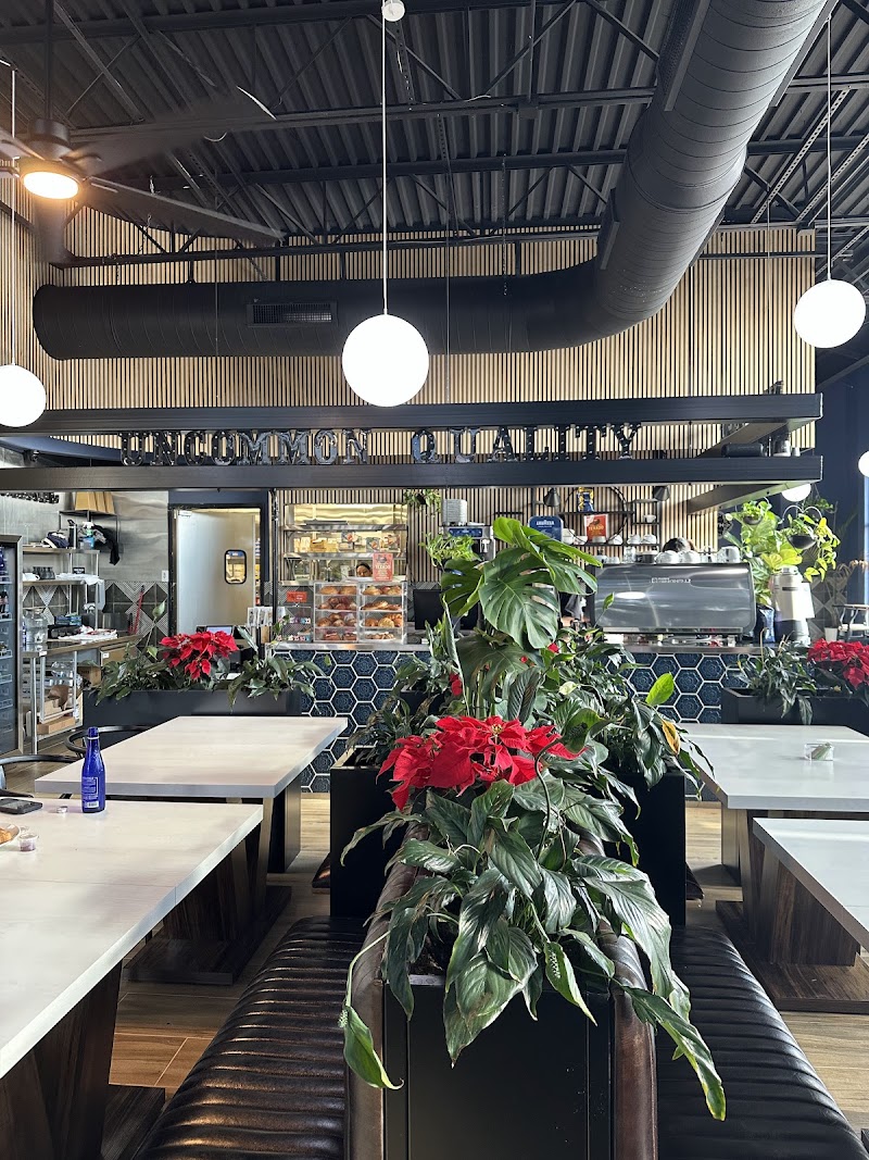 CommonWealth Coffeehouse & Bistro Stone Oak