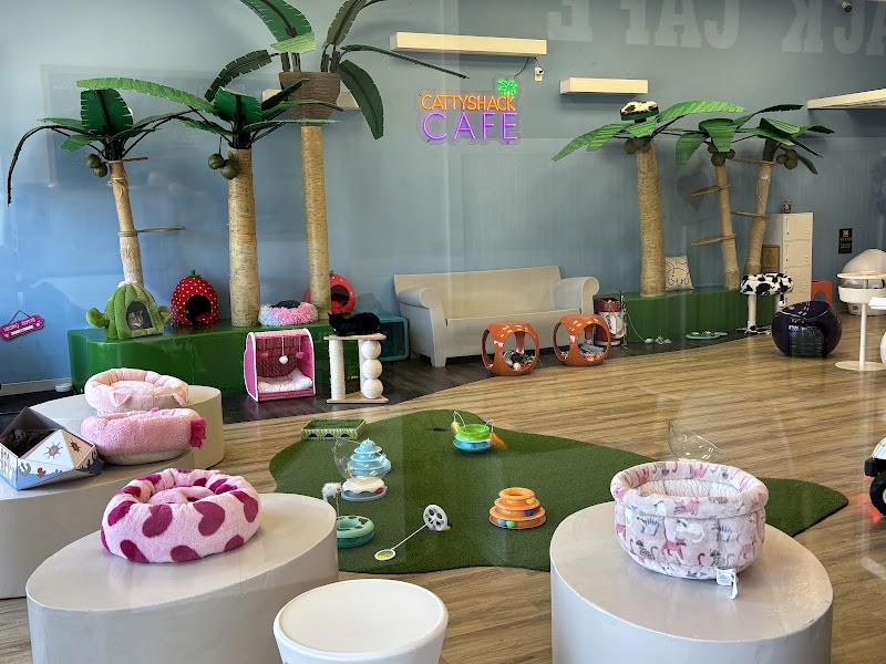 Cattyshack Cat Cafe