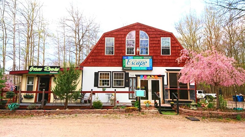 Ti Alchemy Nutrition Open 🍁 Wednesday~Friday~Saturday 🍁 ( Fall hours)9am~1pm