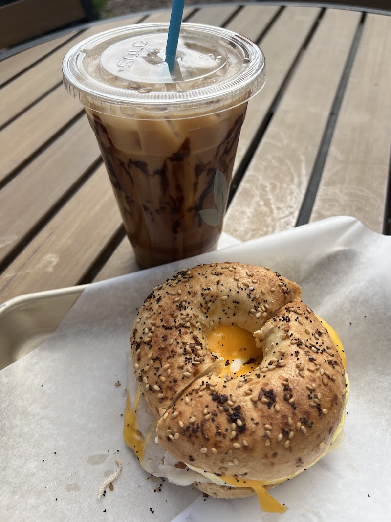 Fountain View Coffee