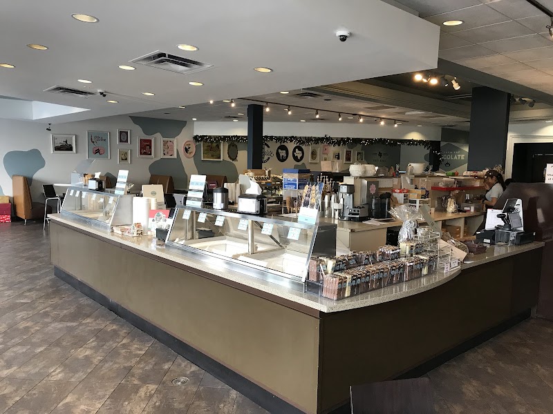 Winfield's Chocolate Bar