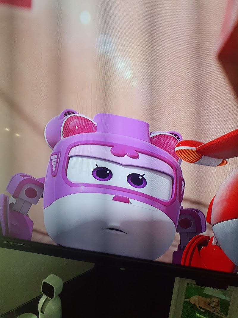 Black Gold Exclusive Coffees