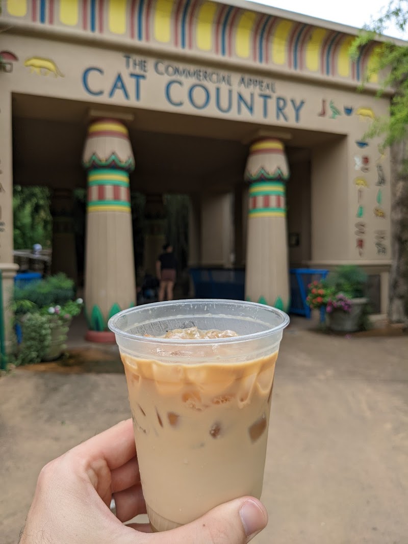 Ancient Grounds Coffee Shop