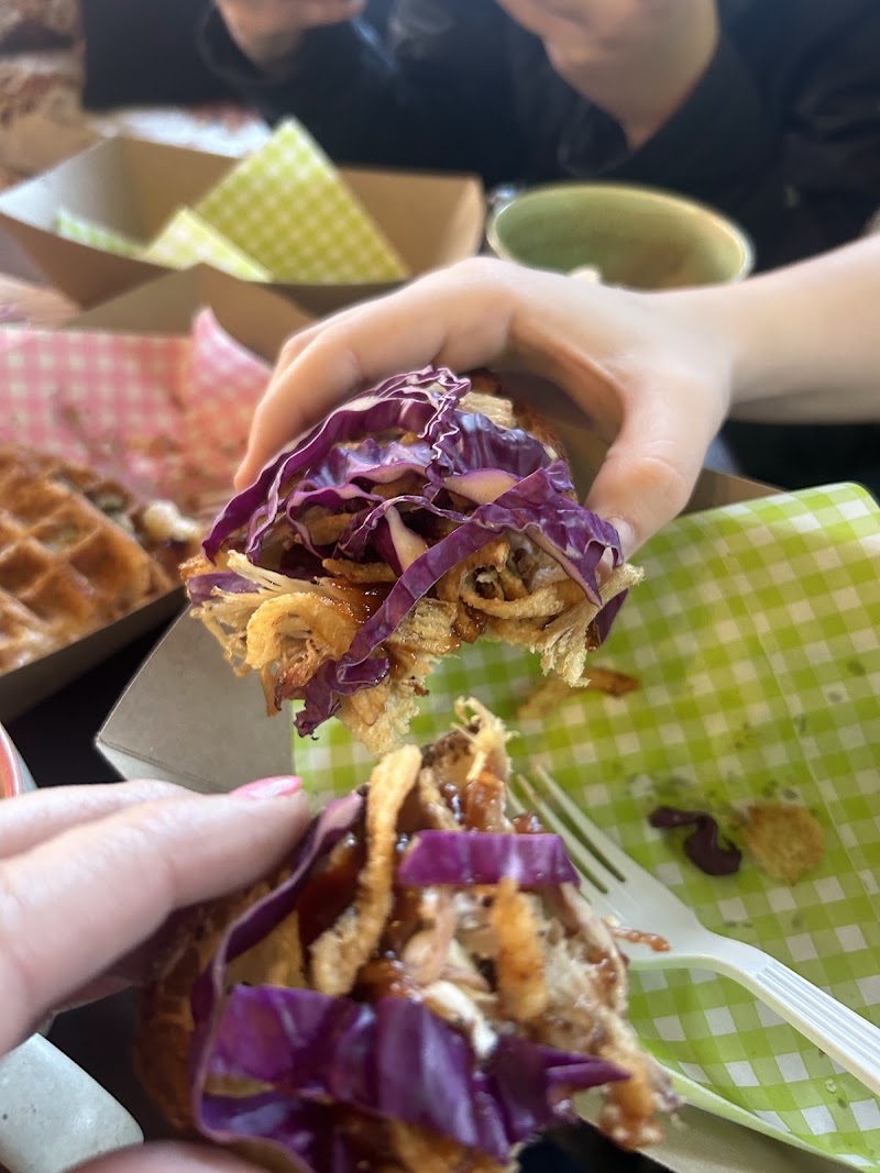 The Center of The Universe