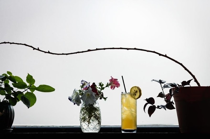 Fair Witness Fancy Drinks