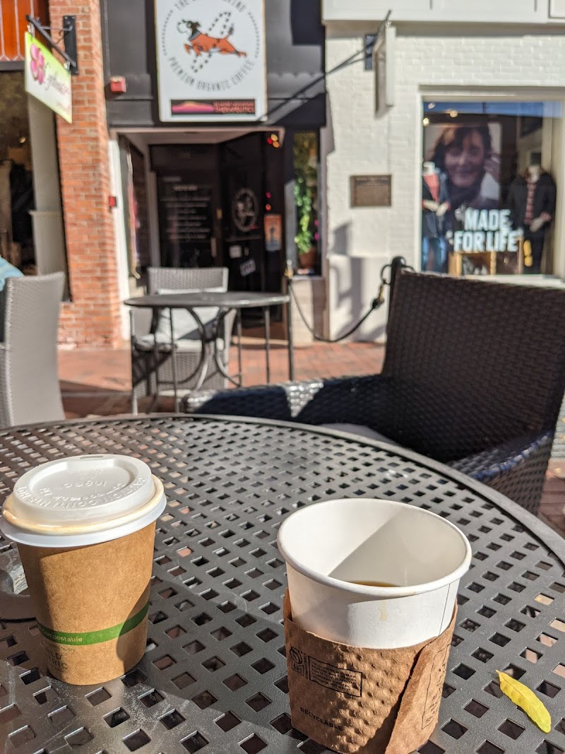 Cosmic Grind Coffee Shop