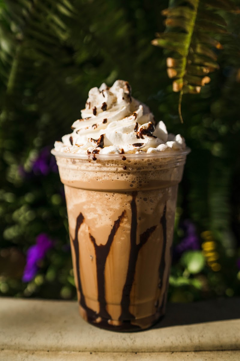 Brewpoint Coffee - Founder's Cafe