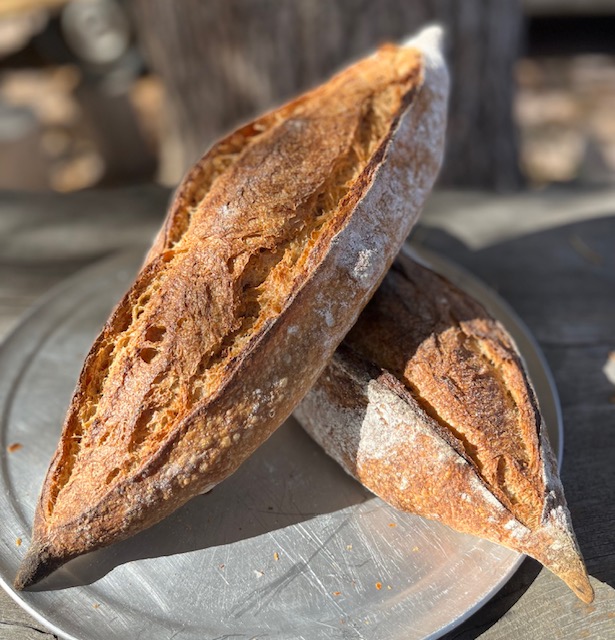 Moxie Bread Co - Longmont