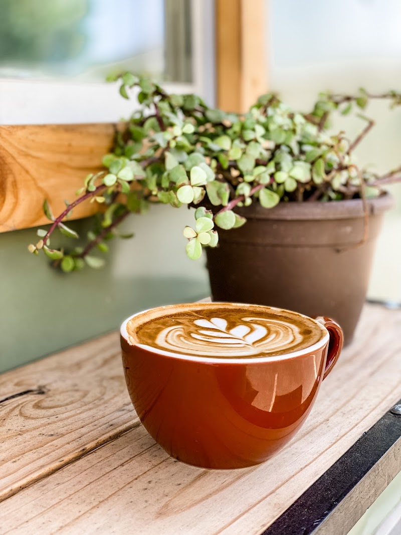 The Honey Bean Coffee & Tea Co.