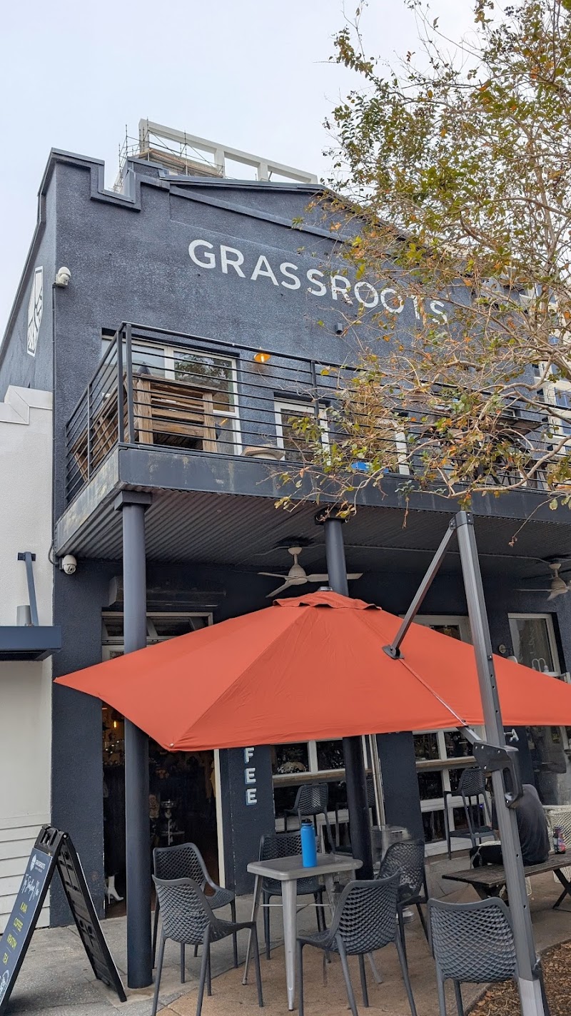 Grassroots Kava House - St. Petersburg, FL | joe coffee