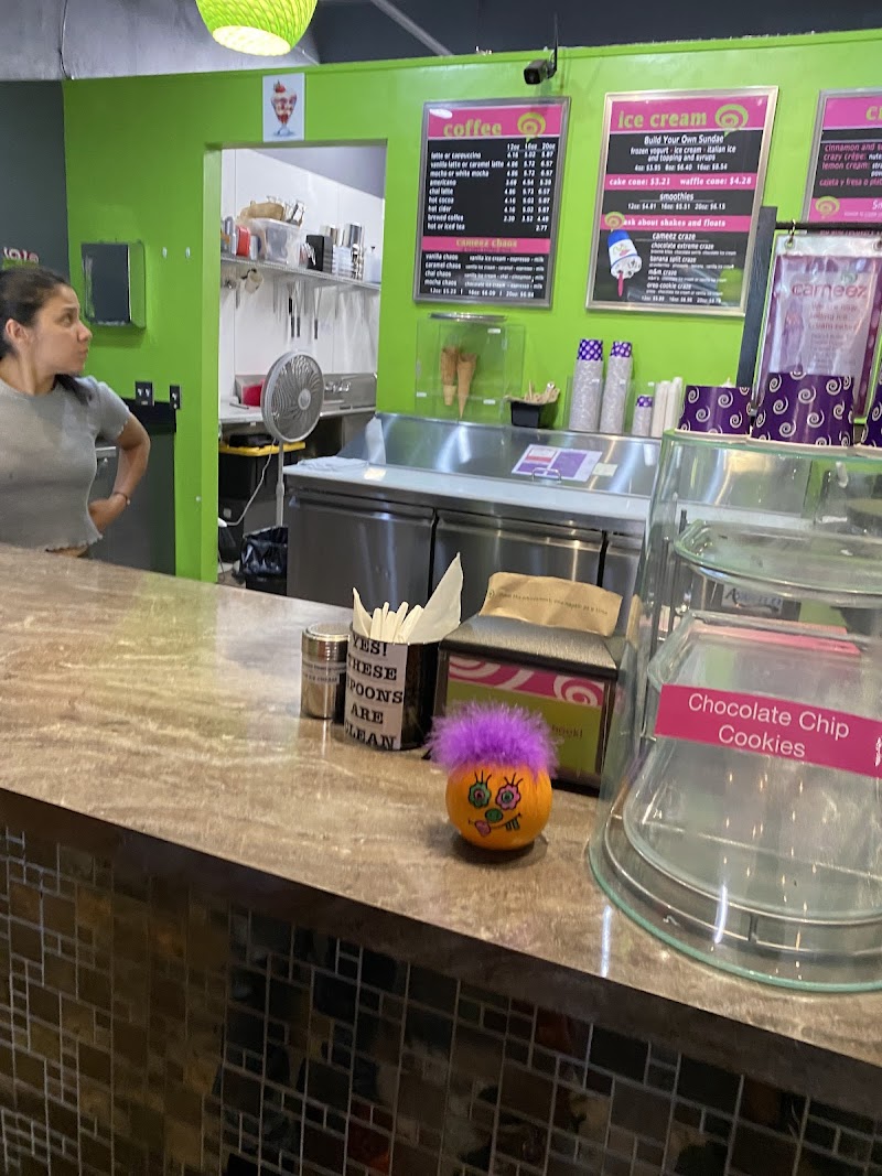 Cameez Ice Cream And Frozen Treats