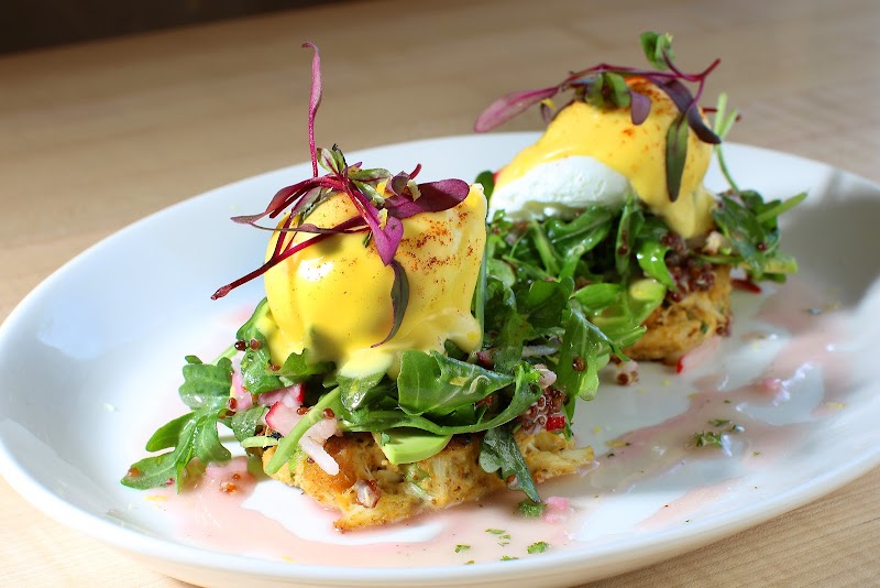 Urban Egg Cherry Creek North