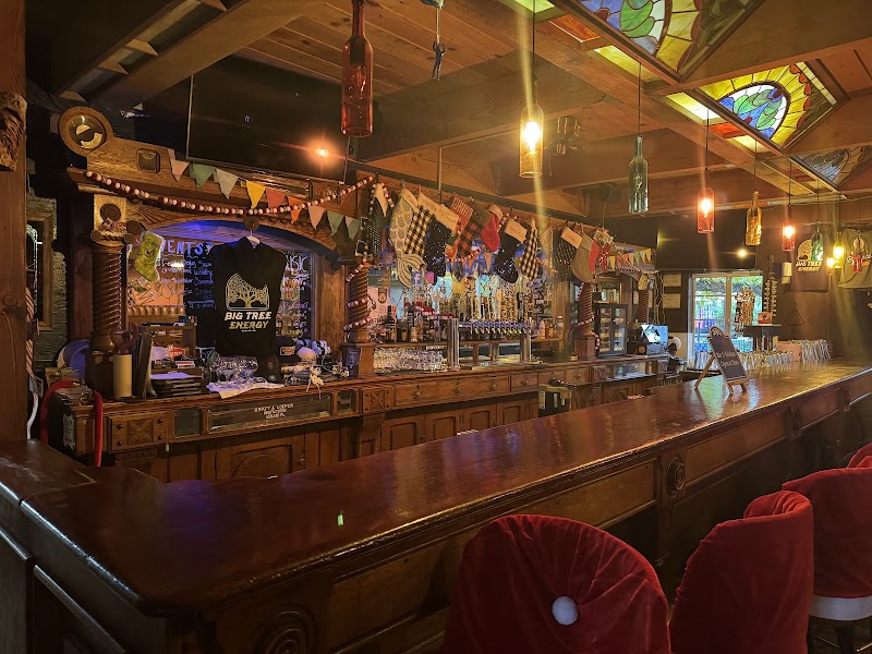 Monstera Coffee Studio