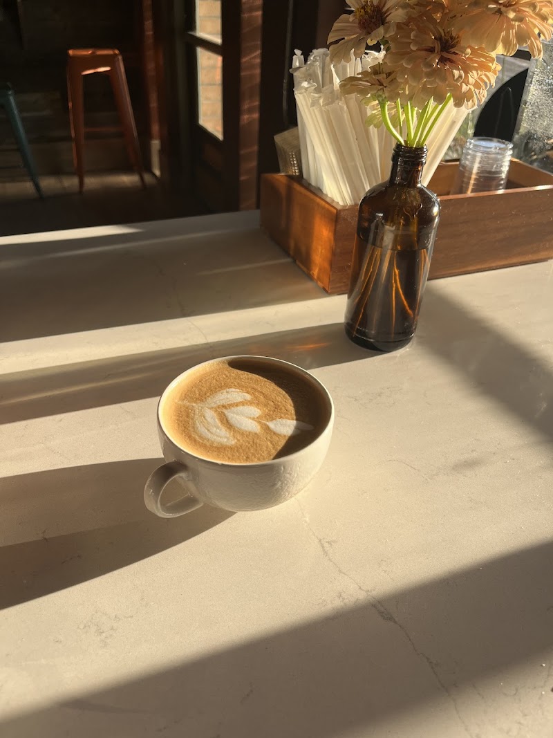 Monstera Coffee Studio