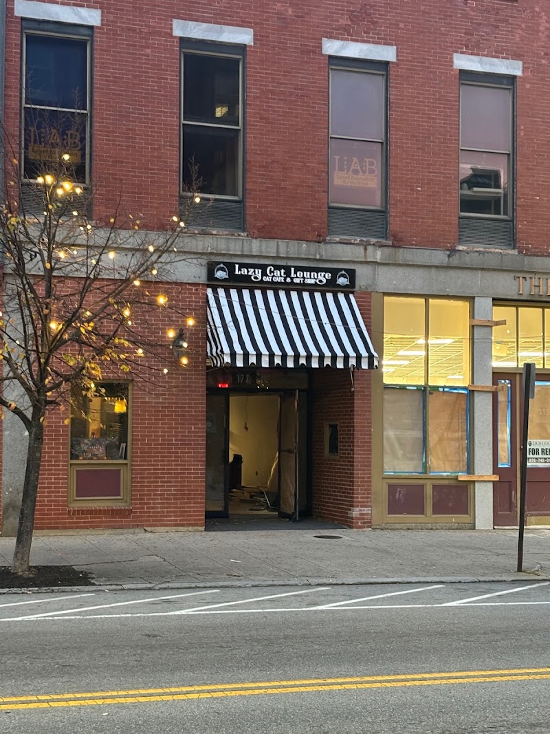 Lazy Cat Lounge, Lowell, MA