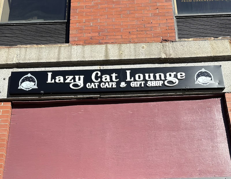 Lazy Cat Lounge, Lowell, MA
