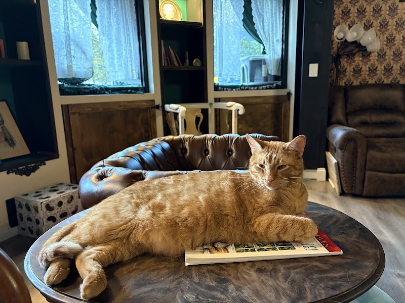 Lazy Cat Lounge, Lowell, MA