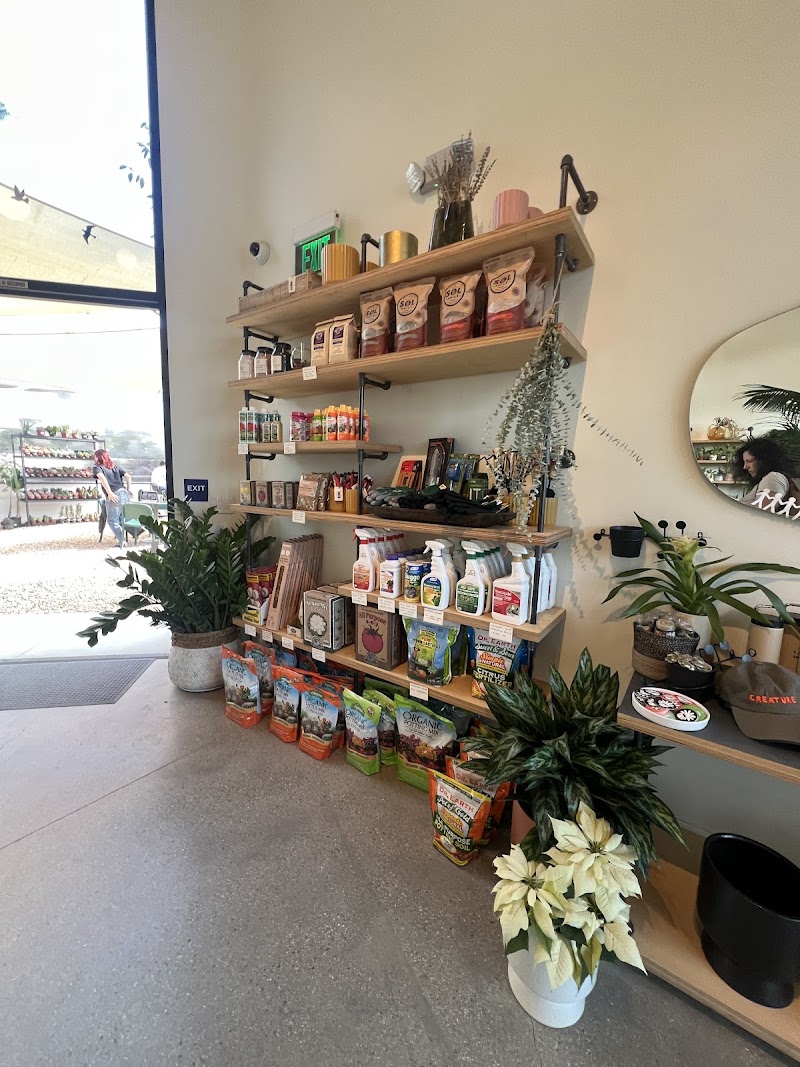 Creature's Plants & Coffee