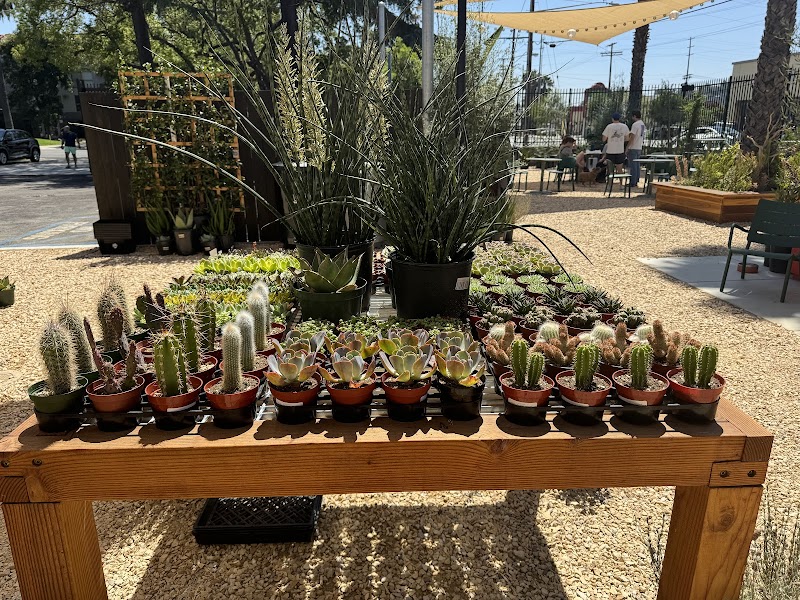 Creature's Plants & Coffee