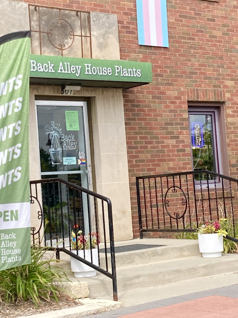 Back Alley House Plants