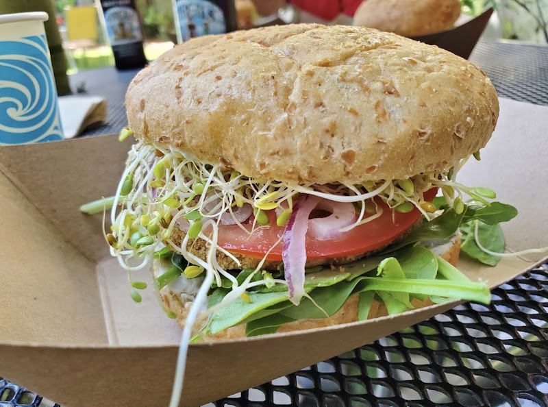 Watson's Veggie Garden