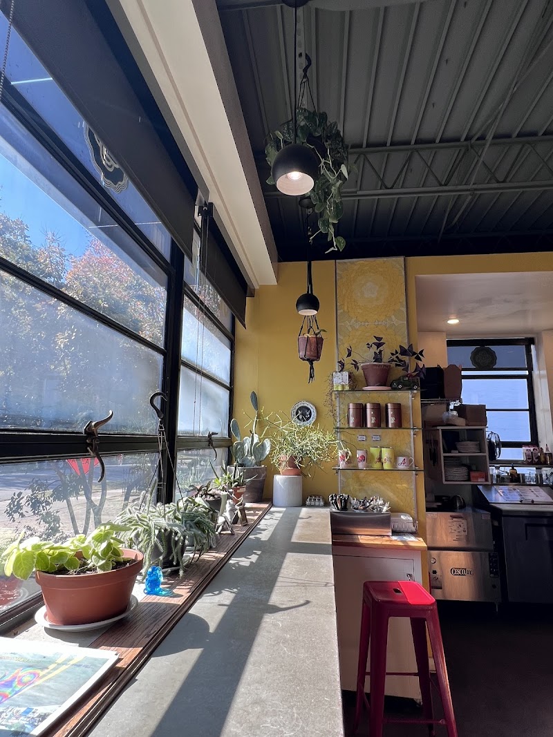 Arsaga's at the U of A