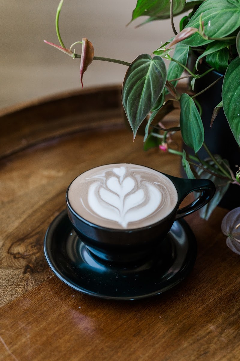 The White Rabbit Coffee House