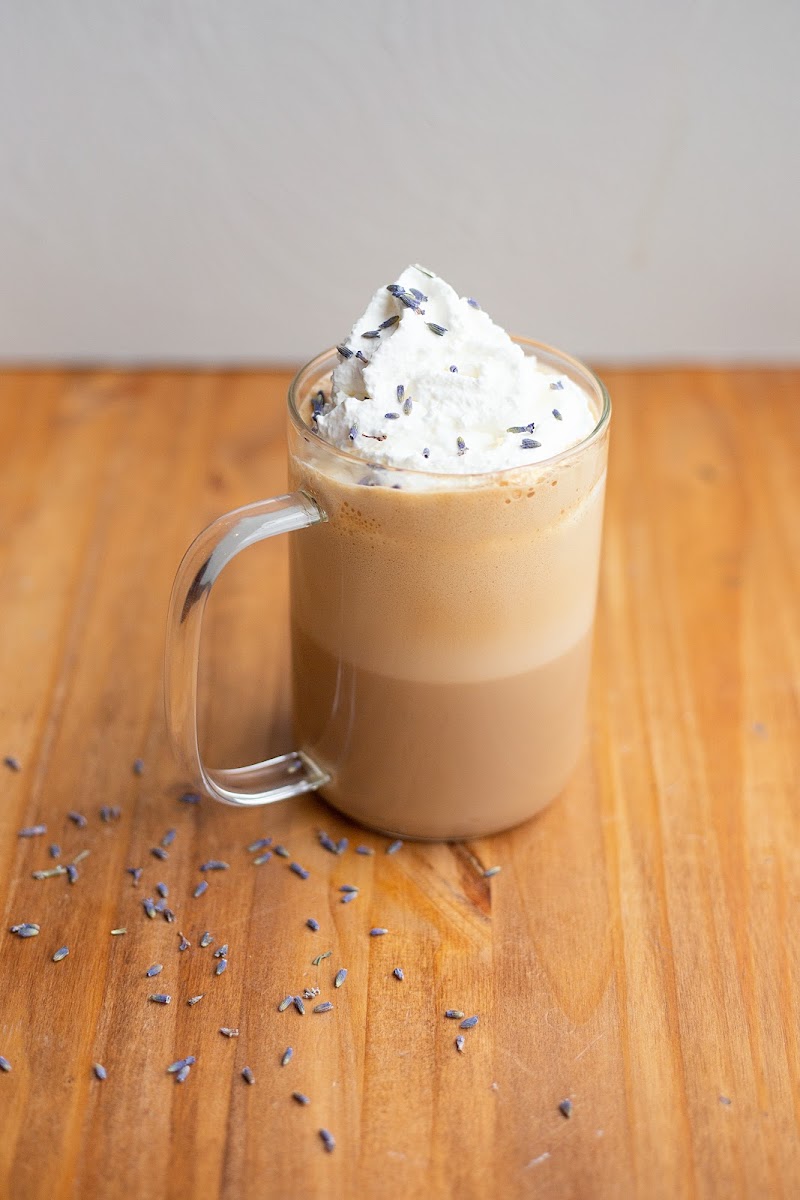 The Wired Rabbit Coffee House