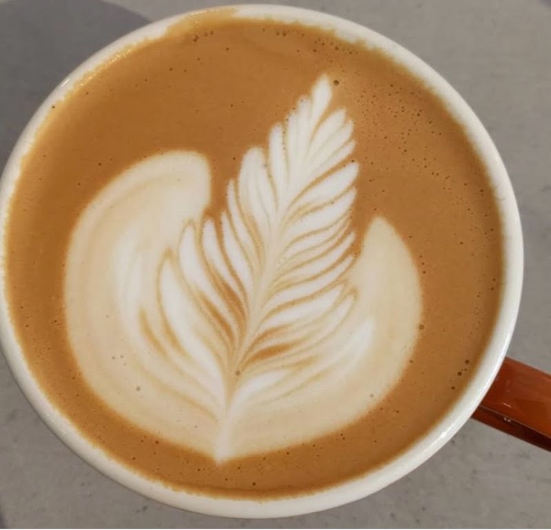 PennyCup Coffee Haw Creek