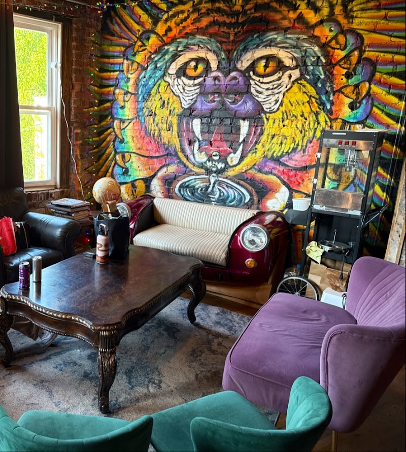 Elevated Kava Lounge