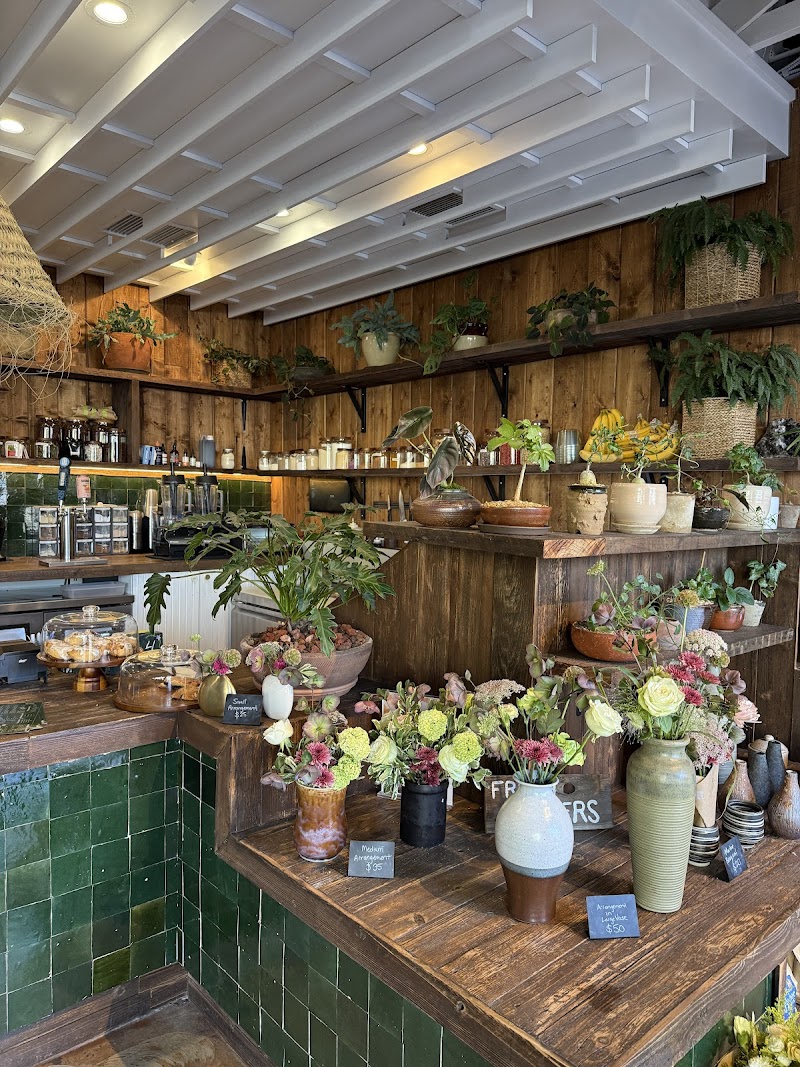 The Barista Botanist