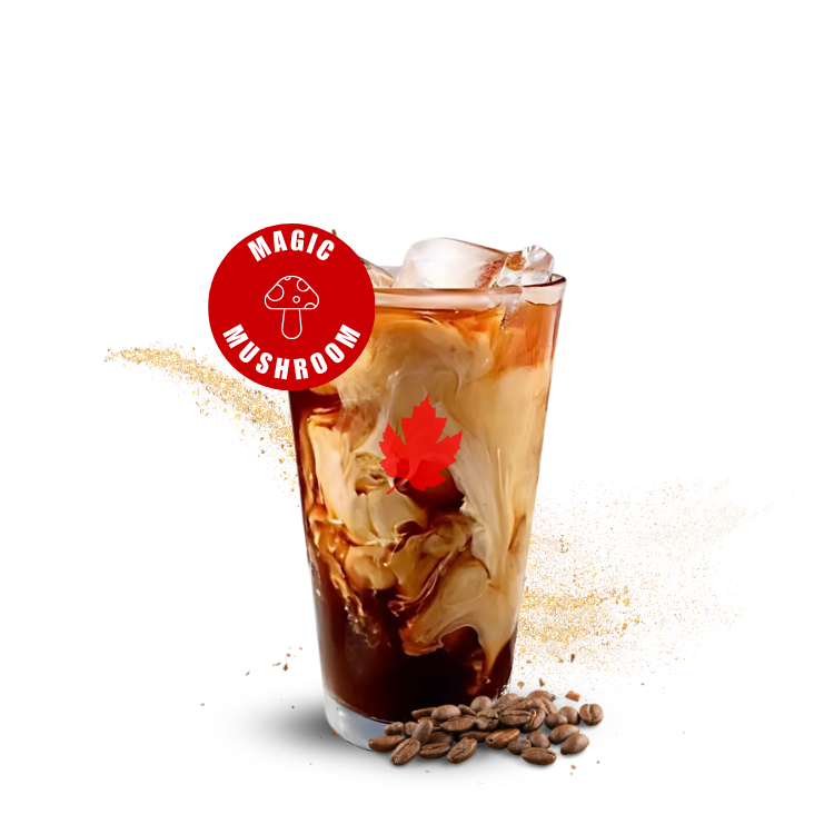 Red Leaf Organic Coffee Longview, WA