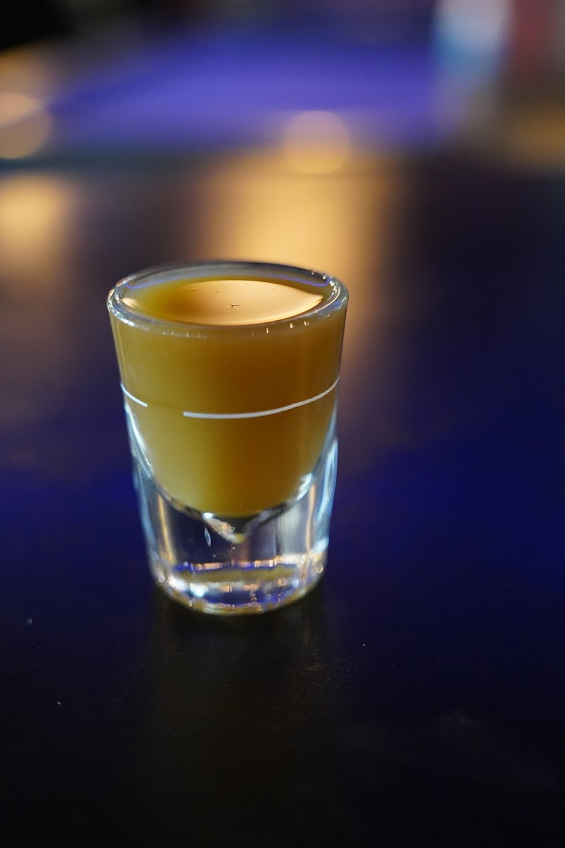 Roots And Leaves: Mile High Kava Bar