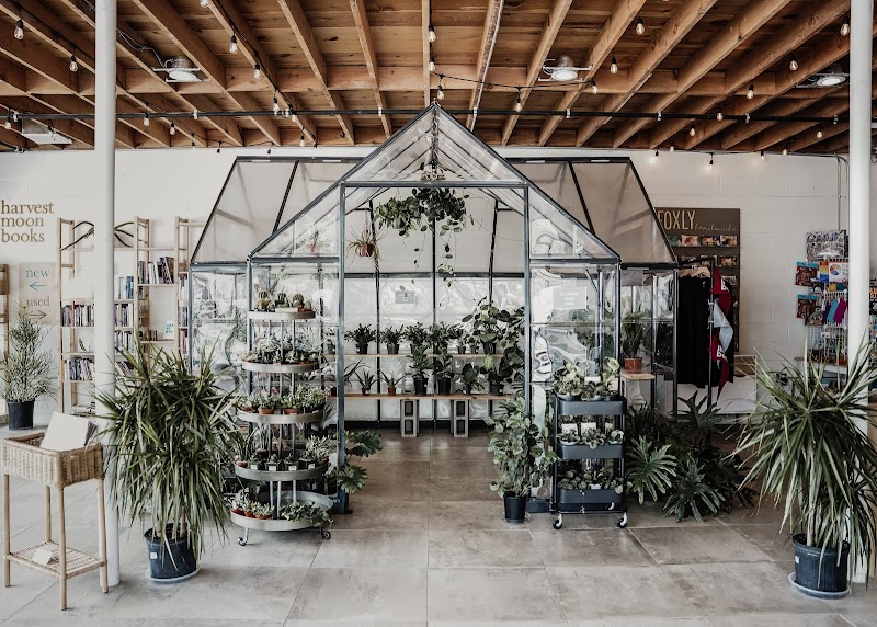 And Stuff Retail Shop