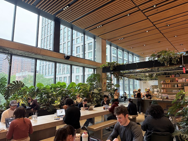 Georgie’s Cafe & Bar