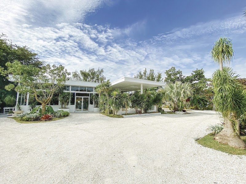 Plant The Future Cafe