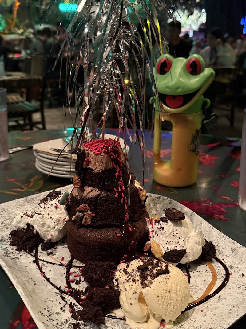Rainforest Cafe