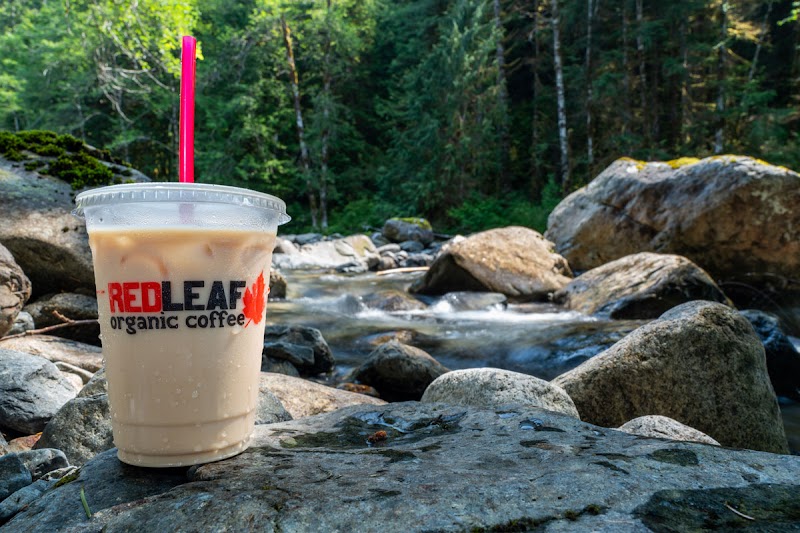 Red Leaf Organic Coffee Kelso