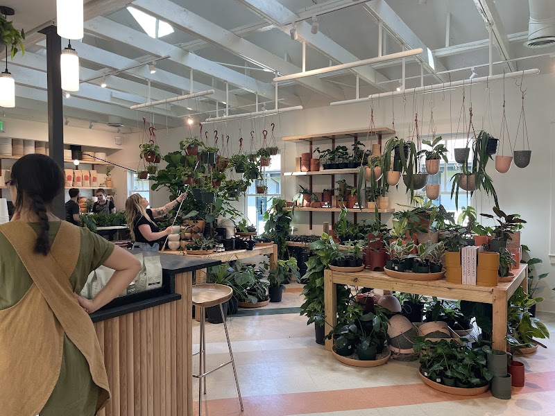 The Victorian Atlanta - Plants + Coffee