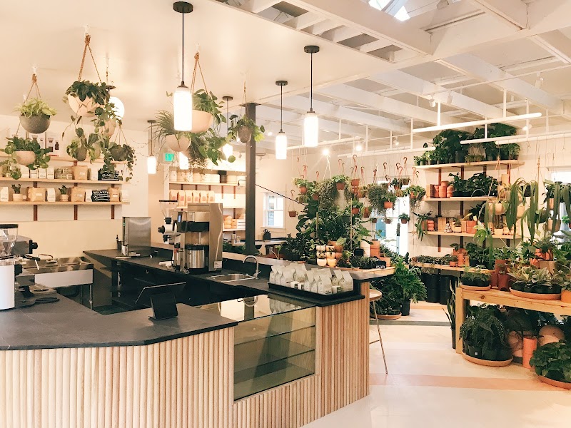 The Victorian Atlanta - Plants + Coffee