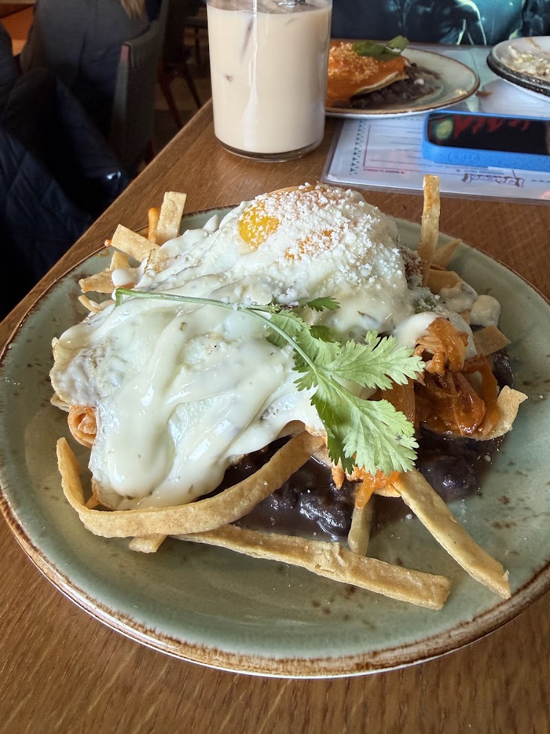 Painted Burro Brookline