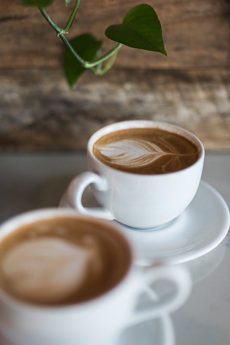 Foxtail Coffee - Midtown