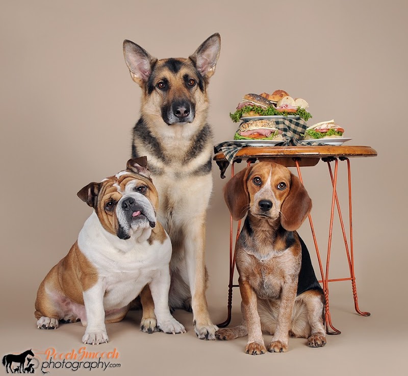 Back Home Bagels Deli & Bake Shop