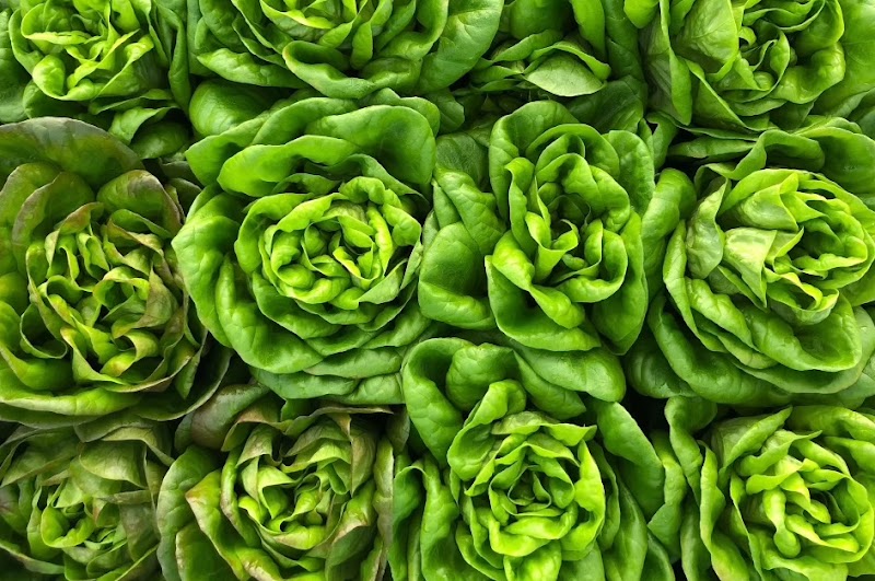 Fat Beet Farm Kitchen and Bakery