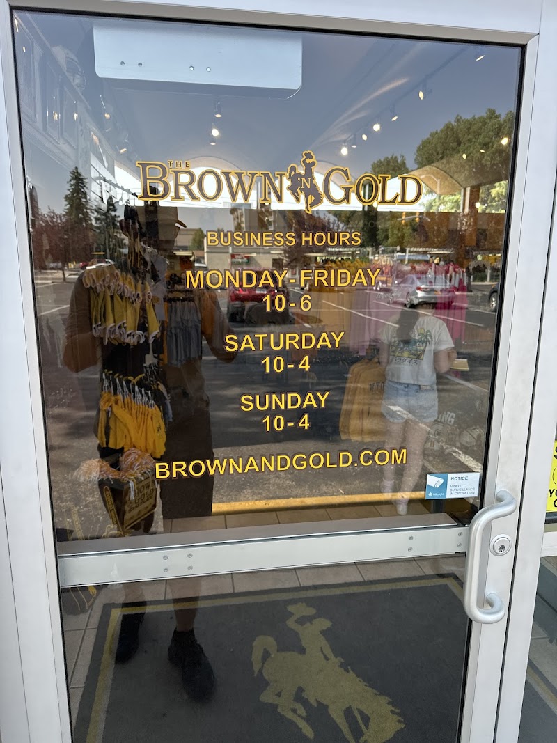 Brown and Gold Outlet
