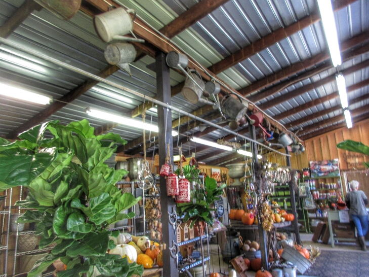 Johnson’s Gardens, Gifts & Interiors