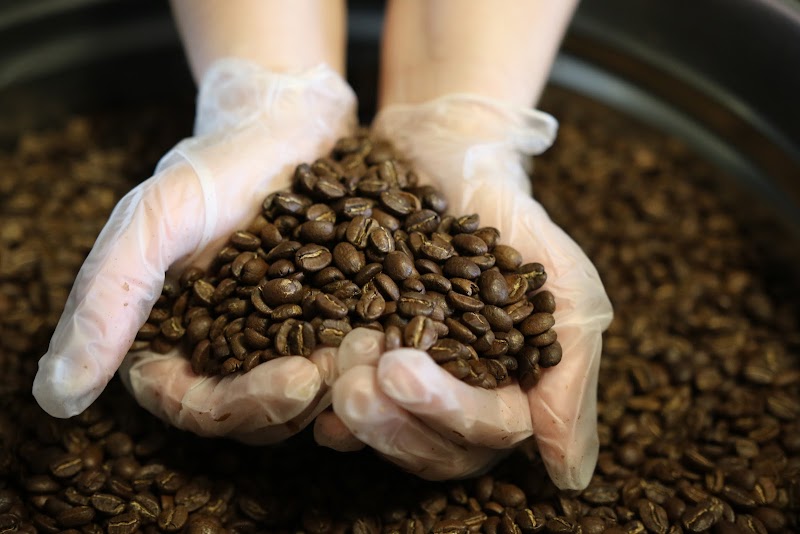 Nerd Java Specialty Coffee