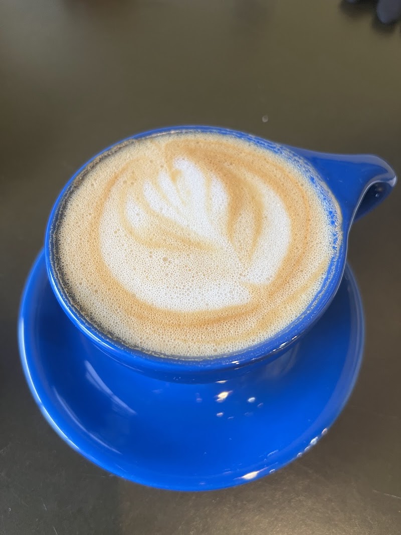 Bluebeard Coffee Roasters STW