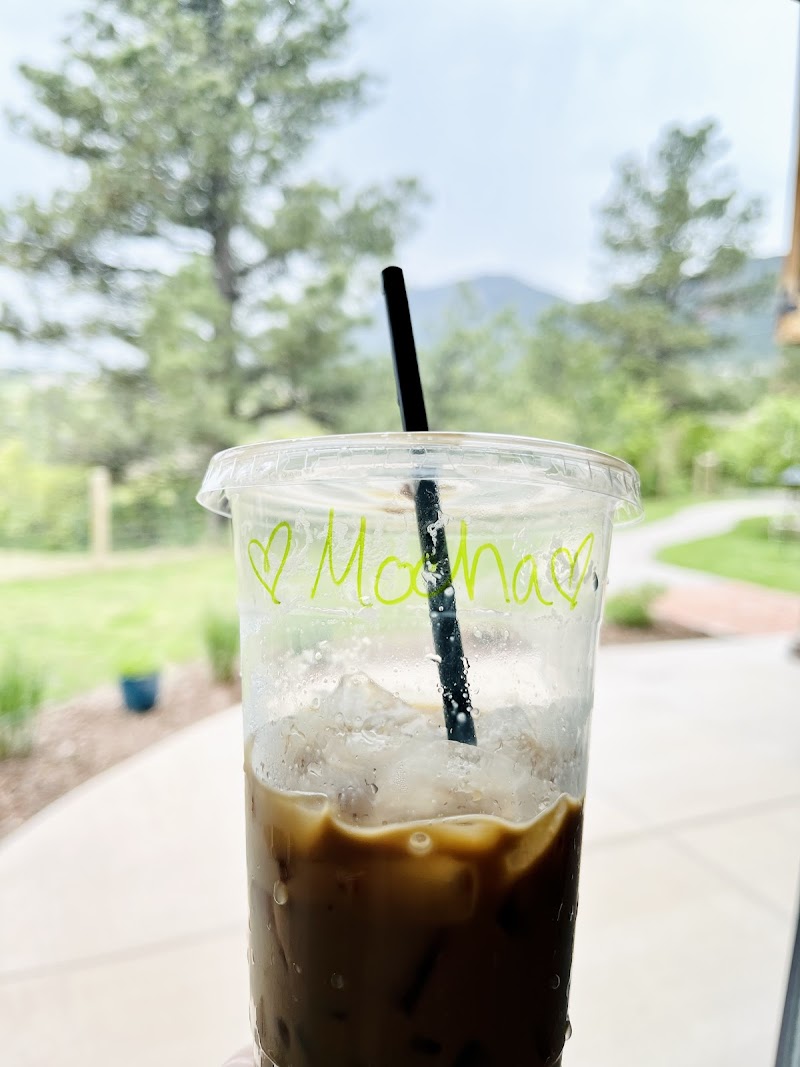 Perfectly Elevated Cafe And Gallery